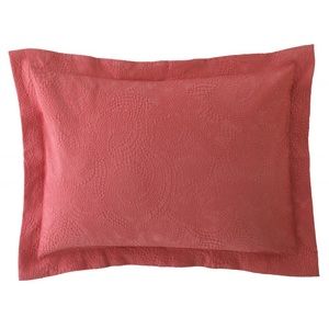 NWT Company C Shams Set of Two